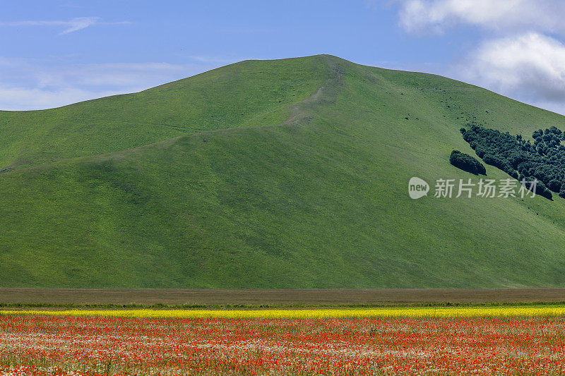 Piano Grande di Castelluccio(意大利)，绿色山丘上的村庄